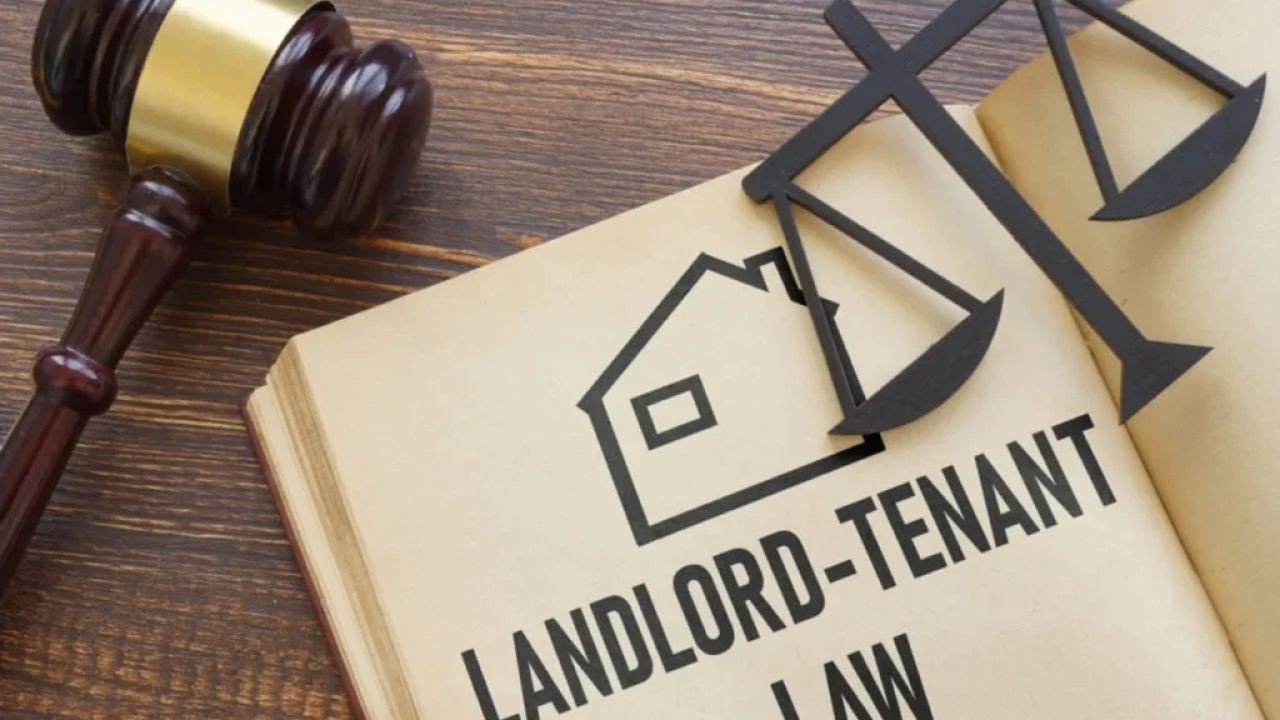Rental Law and Tenancy Video Guides Helping New Zealanders Understand Their Rights