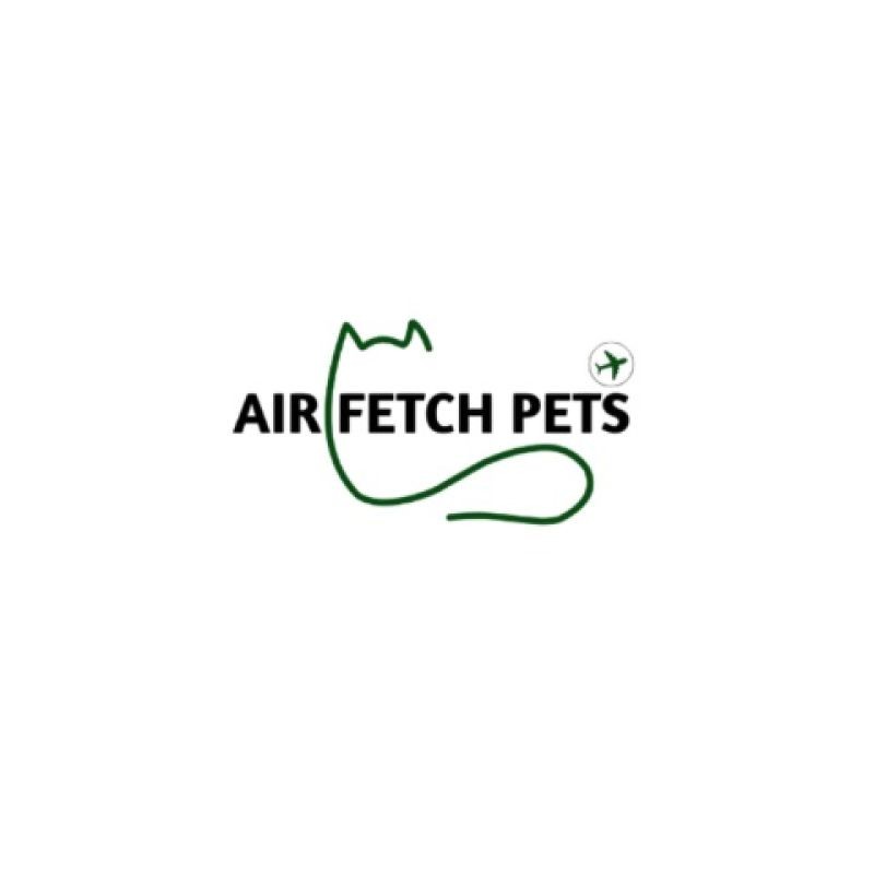 Air Fetch Pets