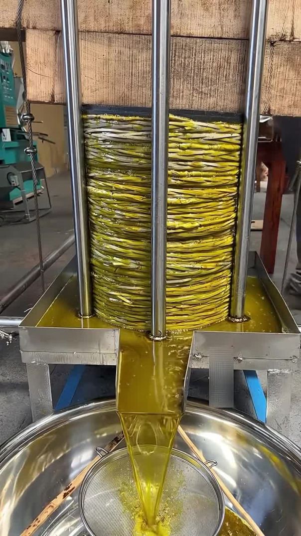 Have You Seen Olive Oil Made Like This? 🛢️🤷🏽‍♂️