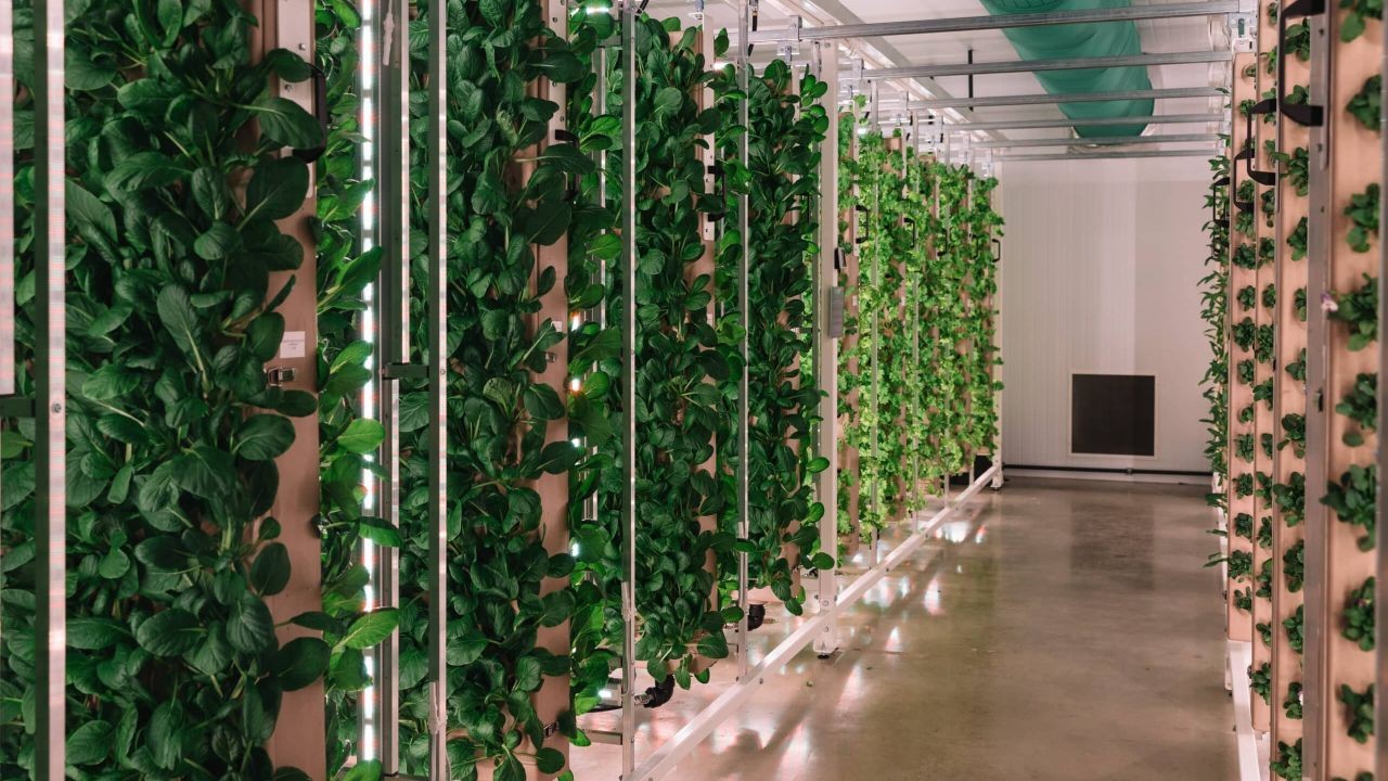 Educational AgriTech Videos Helping Australian Farmers Adopt New Technologies