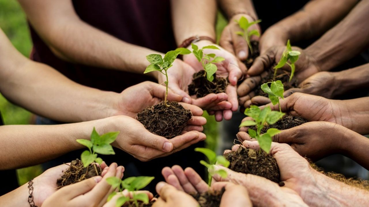 Sustainable Development Videos Celebrating Green Architecture in New Zealand