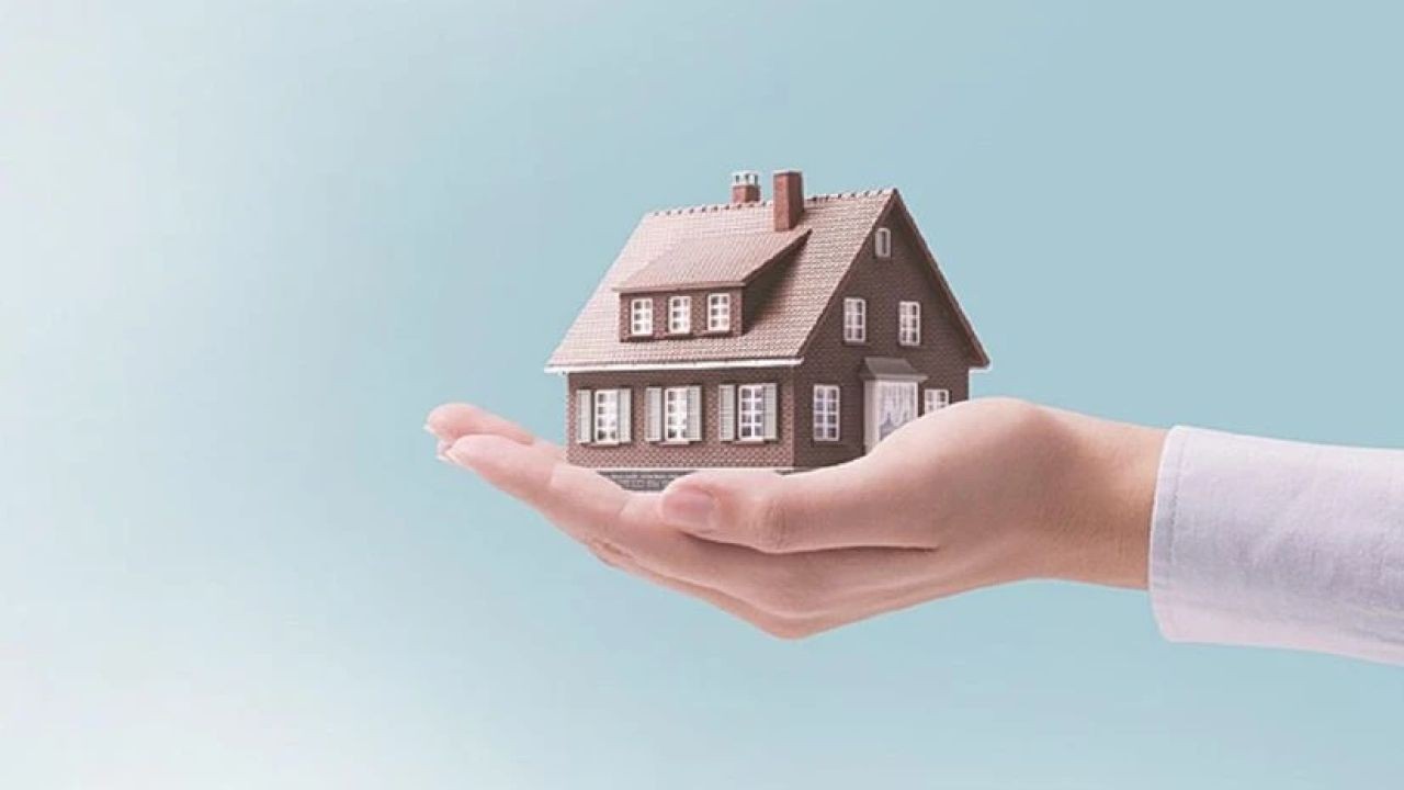 Video Documentaries Showcasing NZ’s New Build Housing Trends and Costs