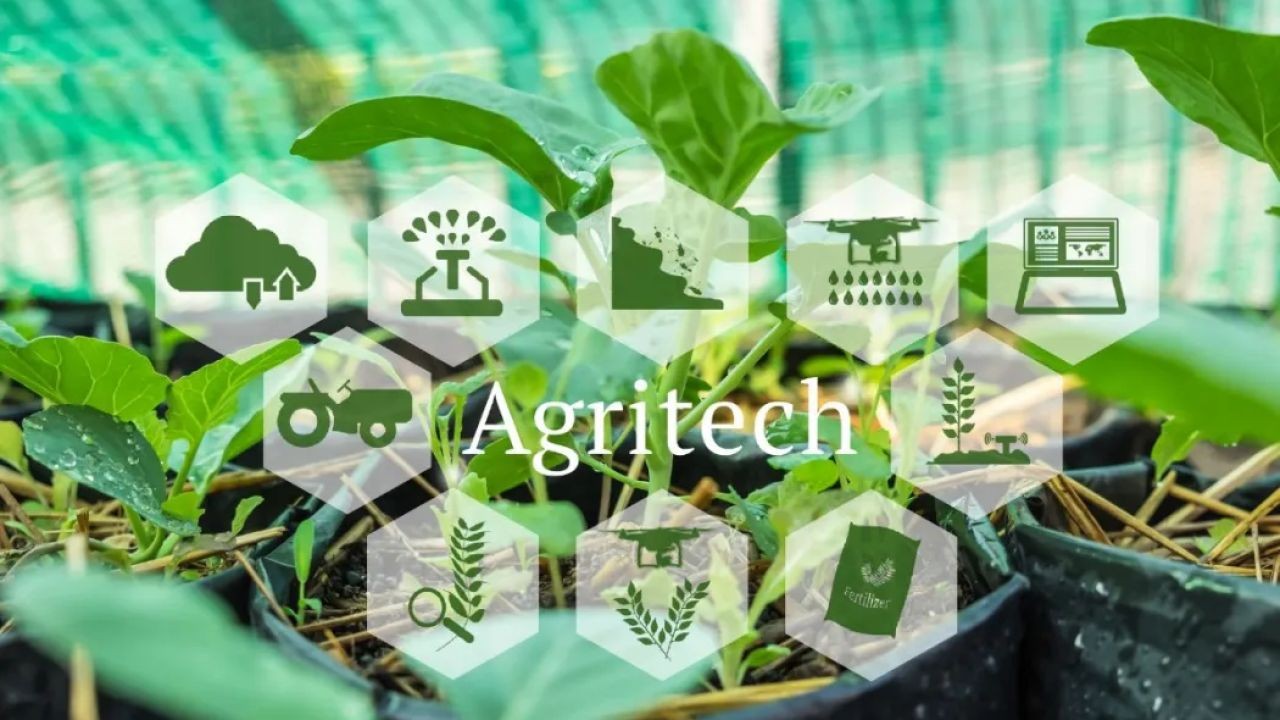 AgriTech and Automation Videos Shaping the Future of Farming in Australia