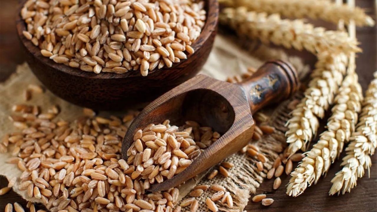 Sustainable Grain and Cotton Farming Videos Leading Change in Rural Australia