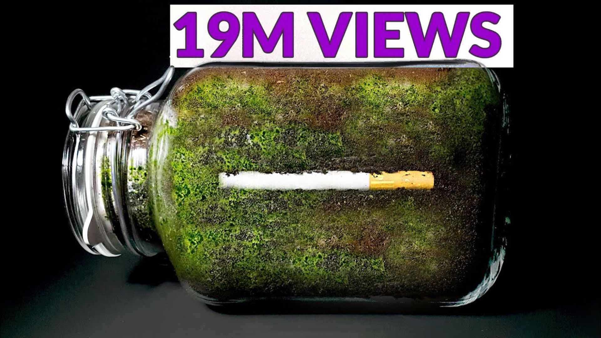 Cigarette in Soil – 1-Year Time-Lapse Decomposition Experiment