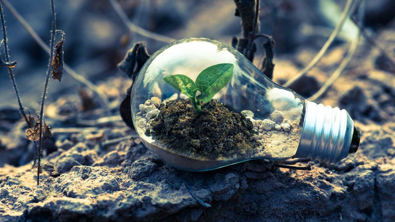 Energy Sustainability Videos Promoting Australia’s Path to Net Zero