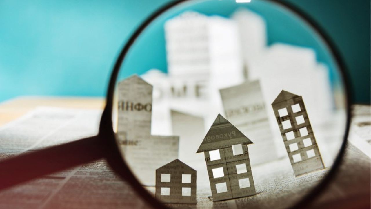 Building Sustainability Videos Showcasing Innovative NZ Developers