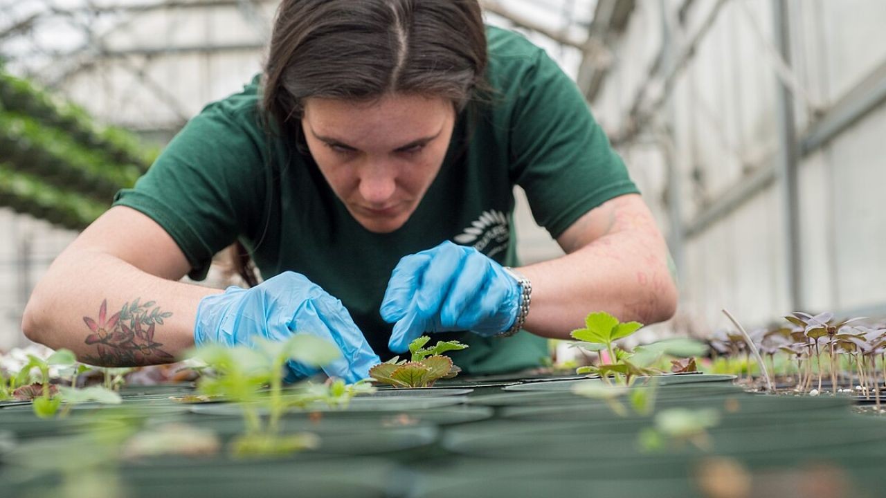 Technology Integration Videos Transforming Horticulture in Regional Australia