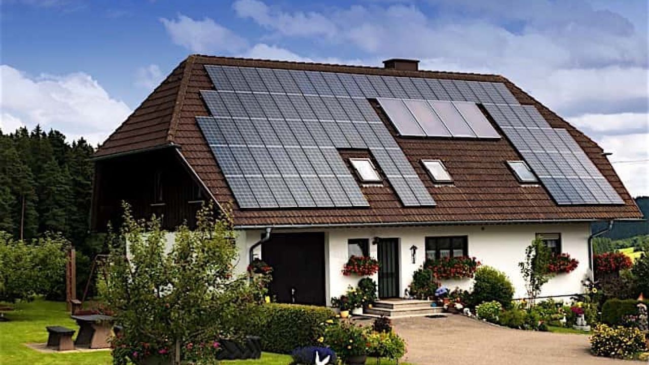 Showcasing Sustainable Property Design Through Video in New Zealand