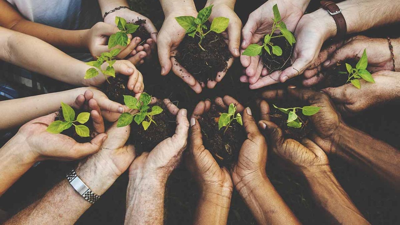 Community Wellness and Recreational Program Video Series in Australia