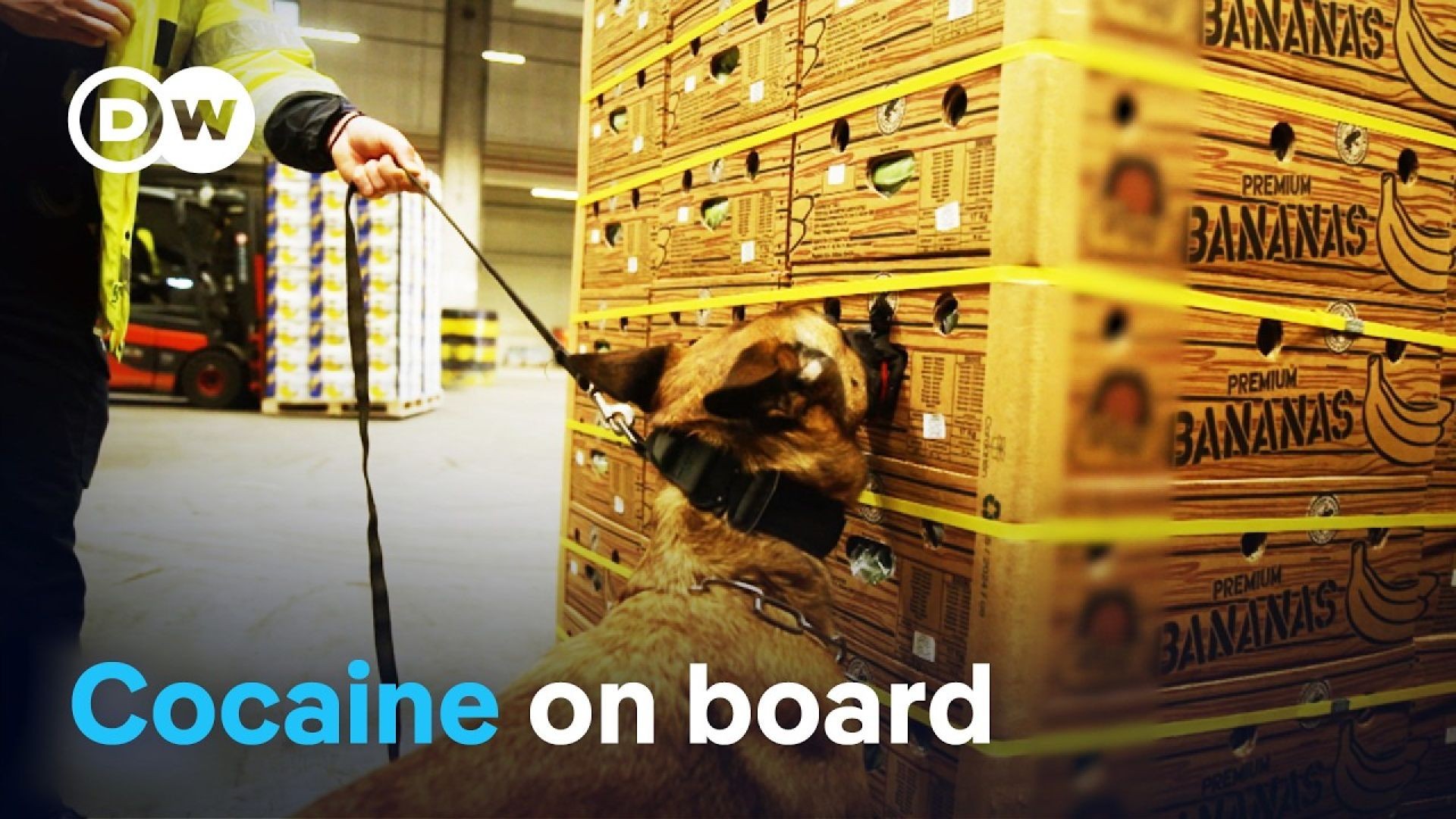 How Cocaine Cartels Infiltrate Europe’s Major Ports