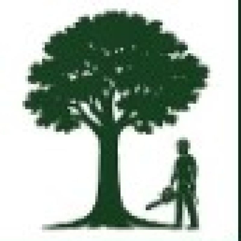 Standing Tall Tree Surgeon & Maintenance