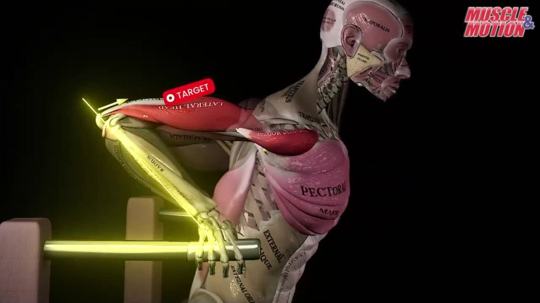 Chest Dips vs Triceps Dips: Train Smarter