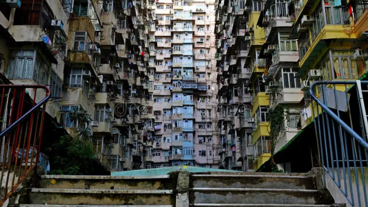 奥克兰最佳居住区推荐：家庭、学区与社区环境全面分析