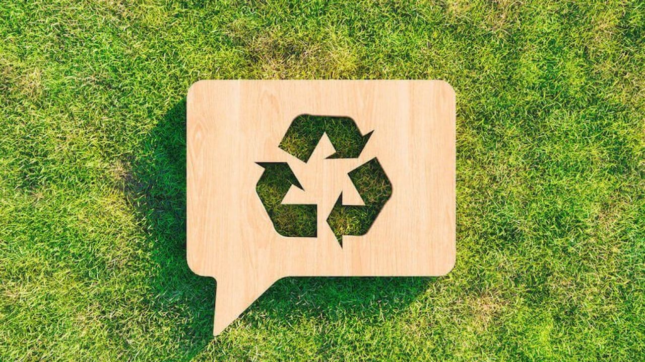 How New Zealand Can Champion Sustainability in Global Environmental Policy – The Untold Story Behind Its Rise in NZ