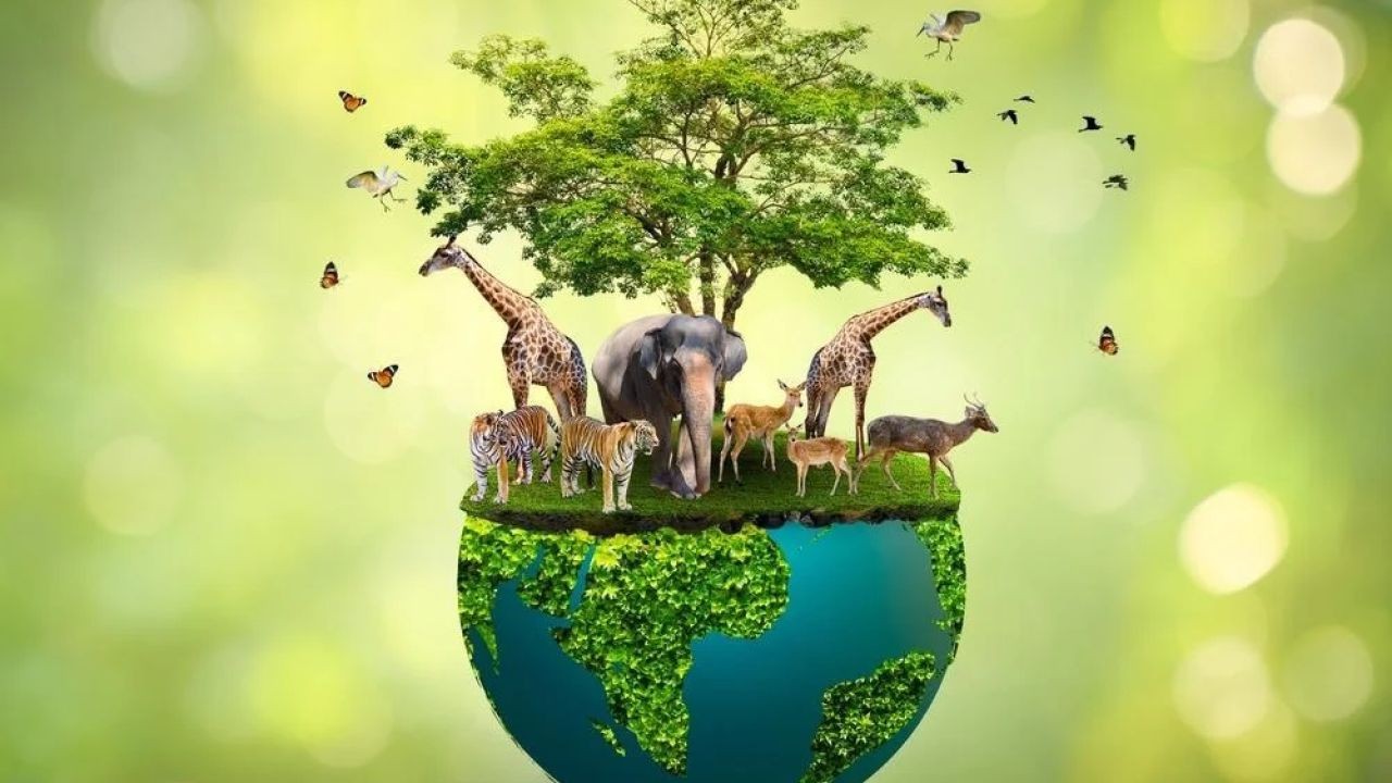 New Zealand's Role in Wildlife Conservation – The Growth Engine New Zealand Needs Now