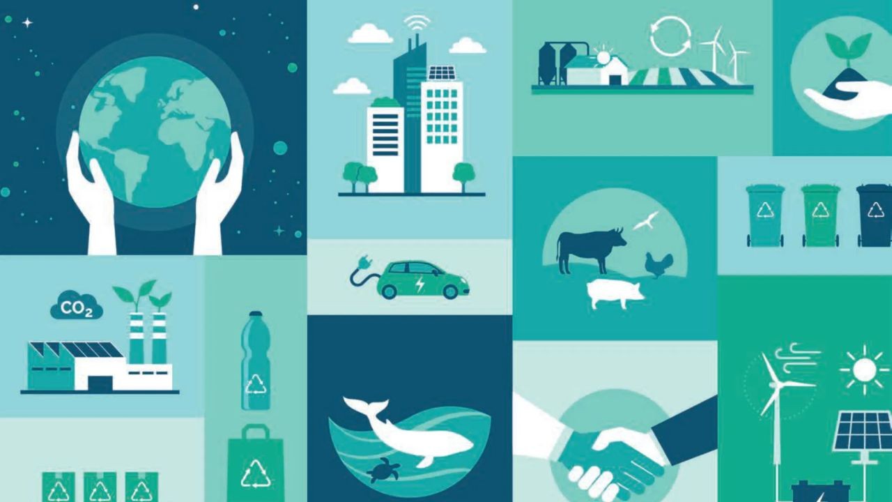 How to Advocate for More Sustainable Environmental Policies in New Zealand – What Works and What Doesn’t in the NZ Market