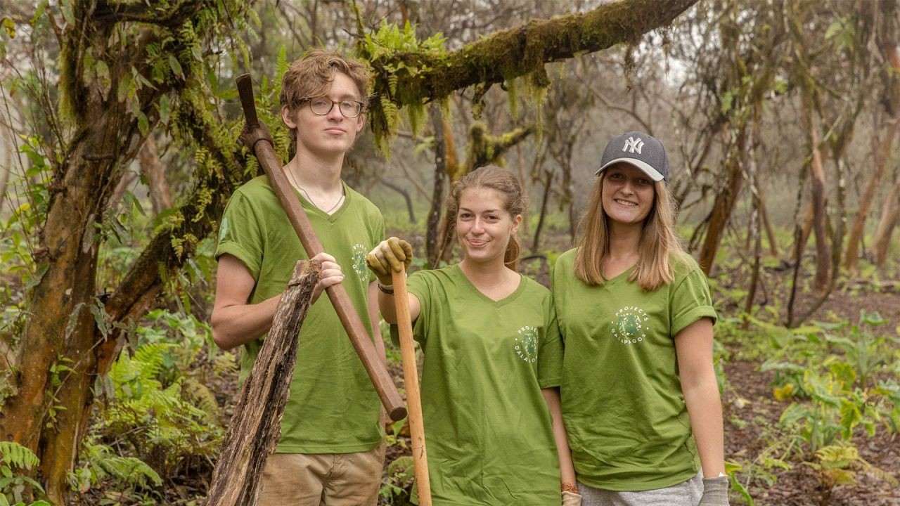 How New Zealand’s Conservation Efforts Saved an Endangered Species – How It’s Quietly Changing the Game