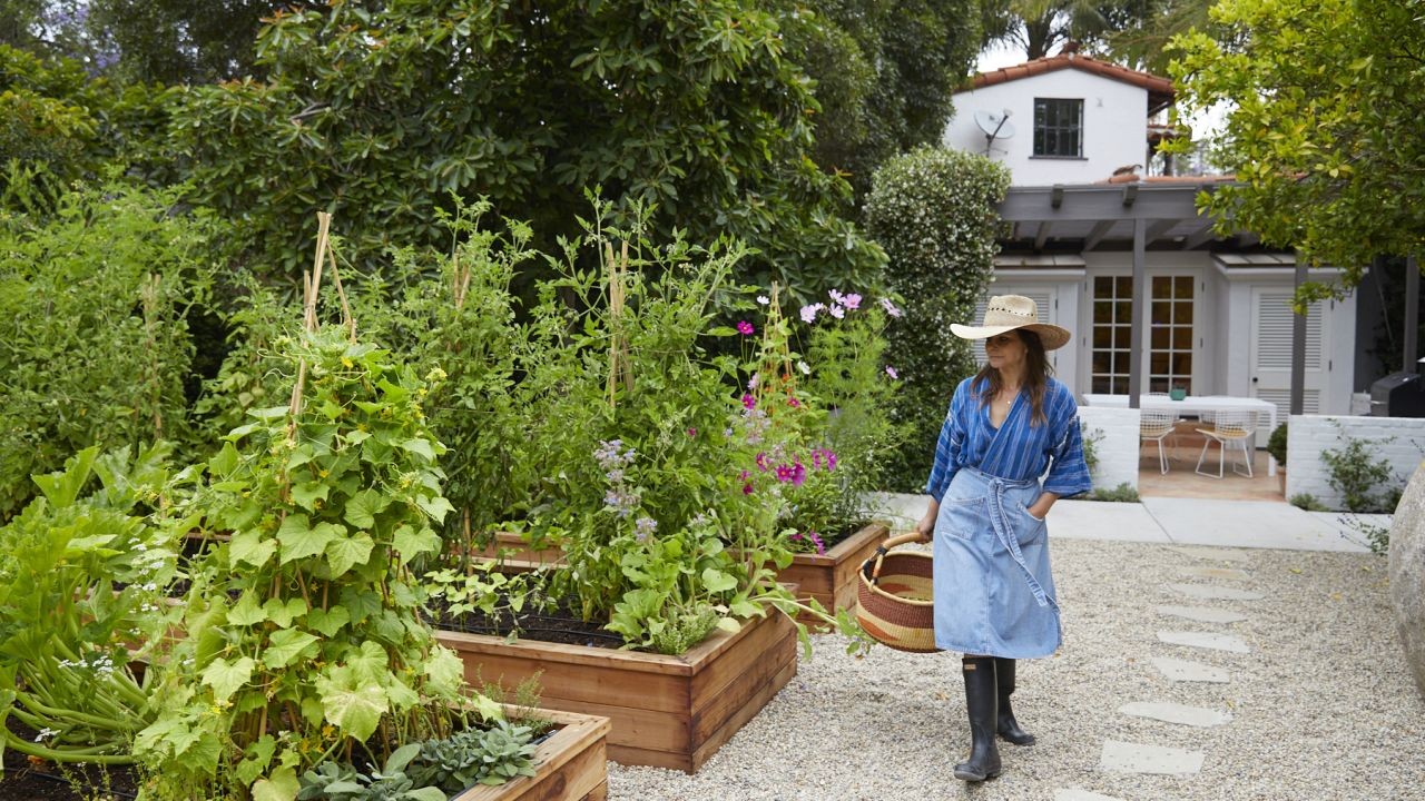 How to Start a Home Vegetable Garden – The Simple Guide That Works for Kiwi Entrepreneurs