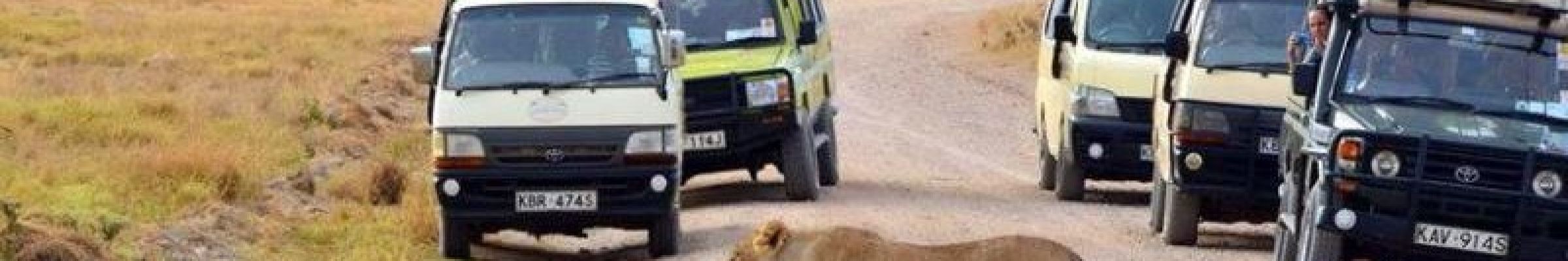 Jeep Safaris and Tours