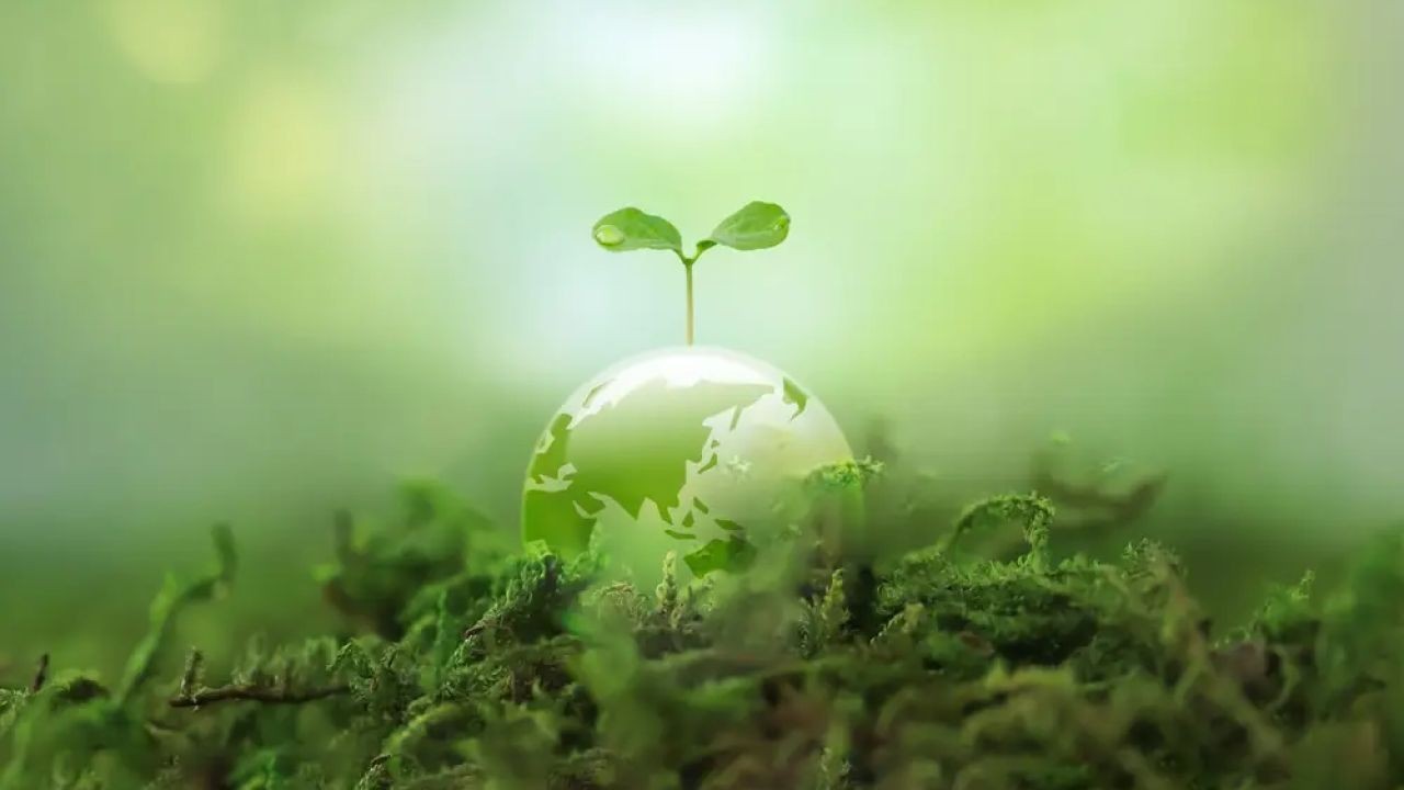 New Zealand's Role in Global Conservation Efforts – How It’s Powering NZ’s Next Wave of Growth