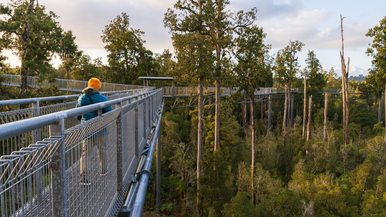 How New Zealand’s Eco-Tourism Efforts Have Changed Local Communities: A Case Study – Why This Matters More Than Ever to Kiwis