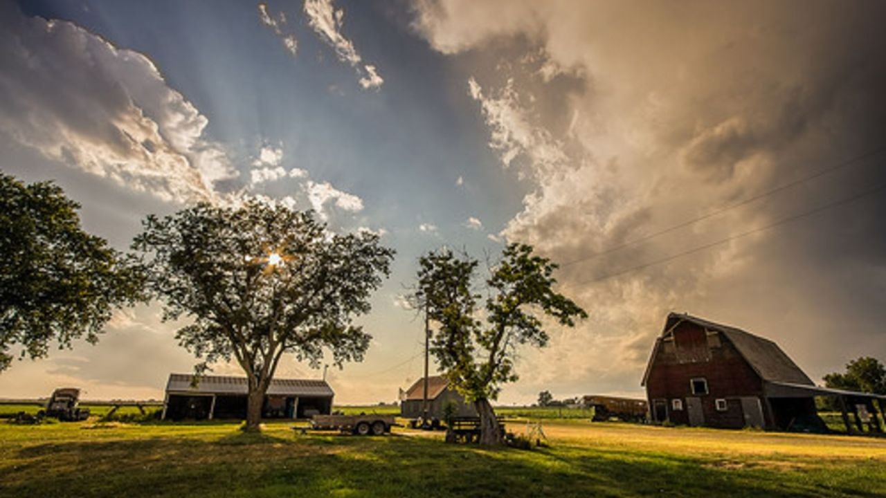 How Rural Living in New Zealand Stacks Up to Rural Life in Europe – Tips, Tactics & Truths for New Zealanders