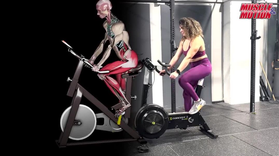 Spinning Bike: Muscles Used & Pedal Phases