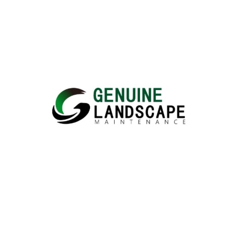 Genuine Landscape