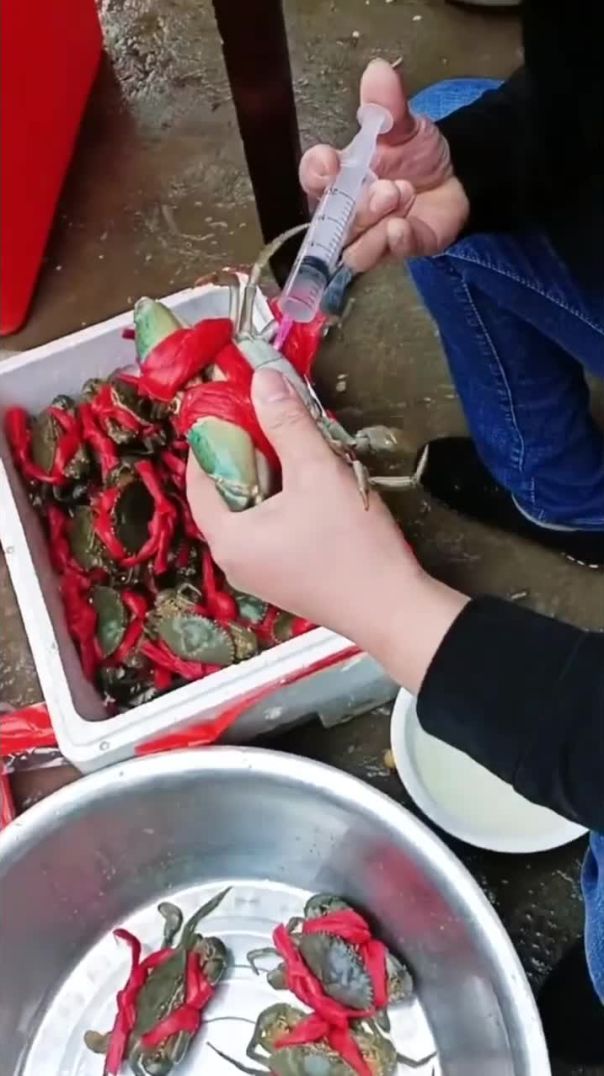 the food safety is serious