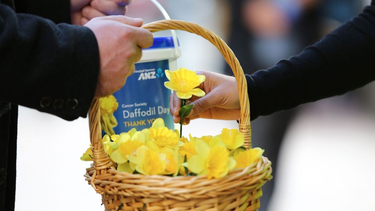 Farmers’ ‘extraordinary generosity’ boosted by price jump in Daffodil Day lamb sale – What Industry Experts Are Saying