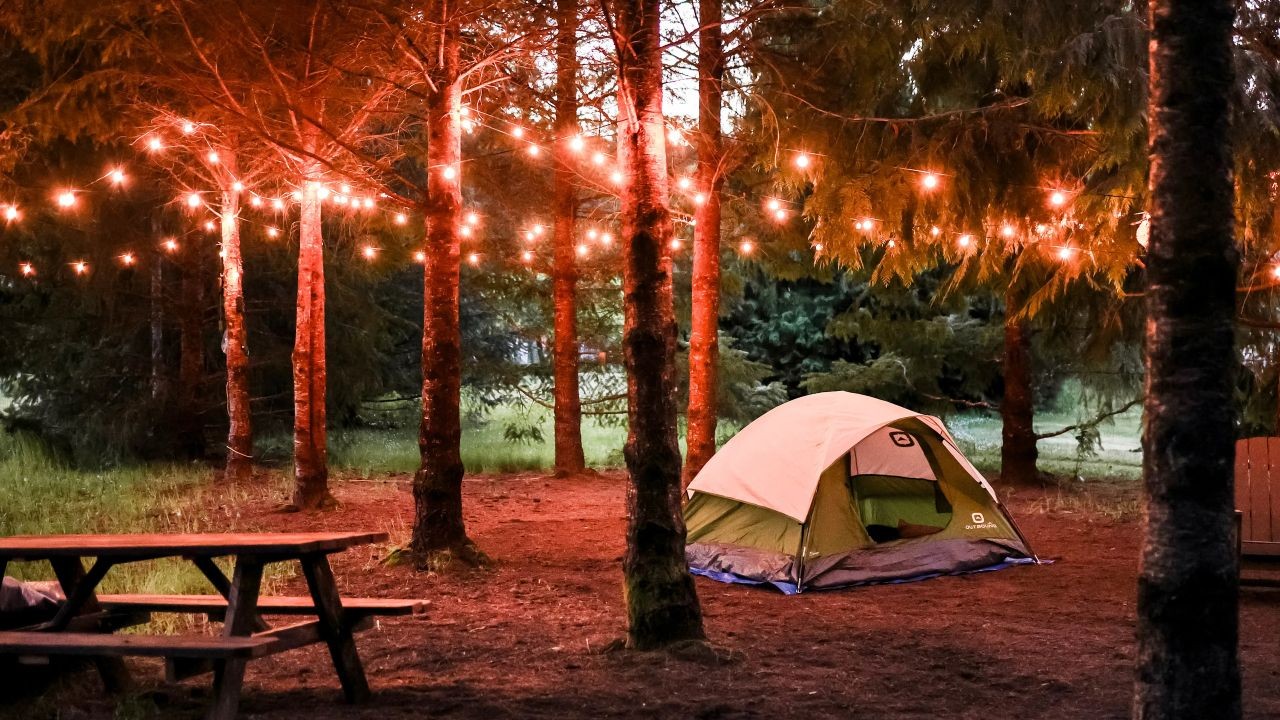 Are Traditional Campgrounds Better Than Free Camping? – The Australian Angle You’ve Overlooked
