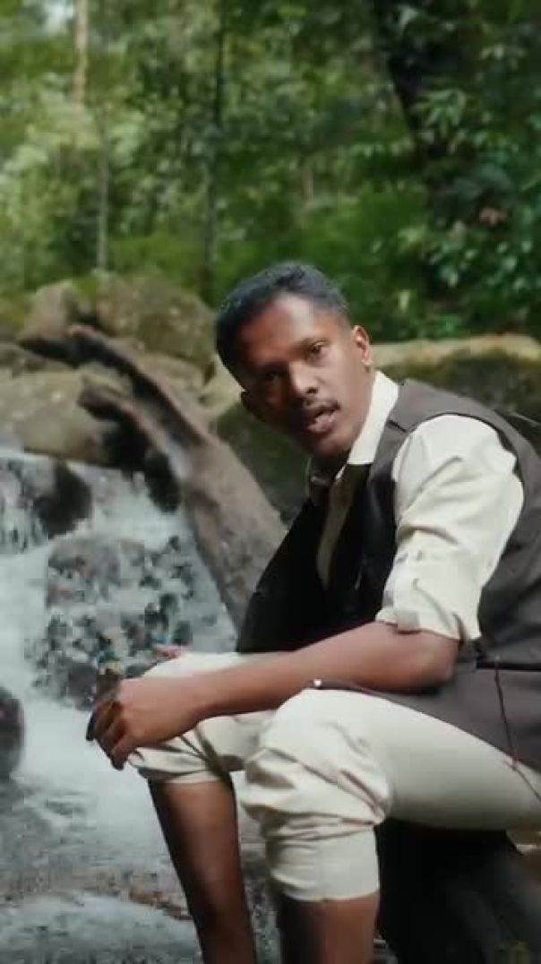 Jungle Park Resort Wayanad