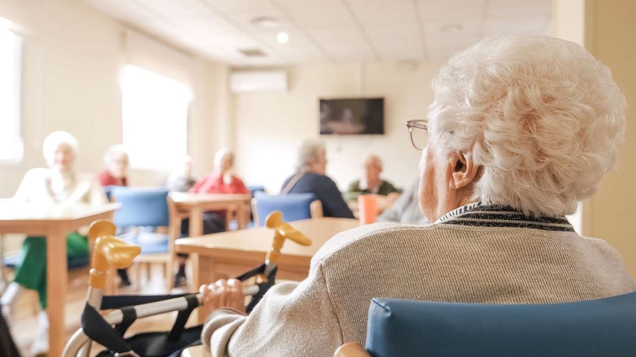 How Australian Scientists Helped Discover the Oldest Life on Earth – How Aussie Leaders Are Responding