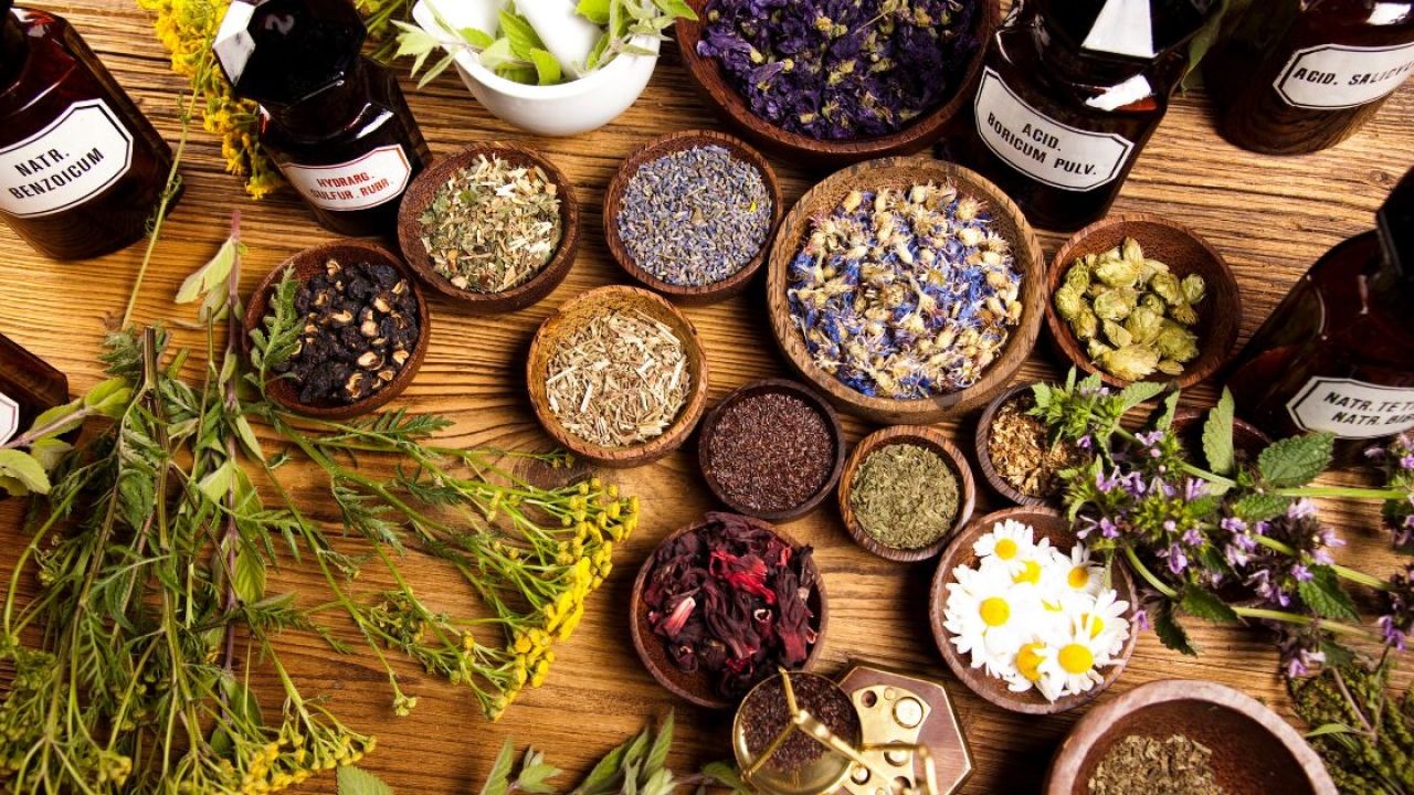 Why Are New Zealanders Turning More to Natural Remedies Instead of Conventional Medicine? – What Smart New Zealanders Are Doing Differently
