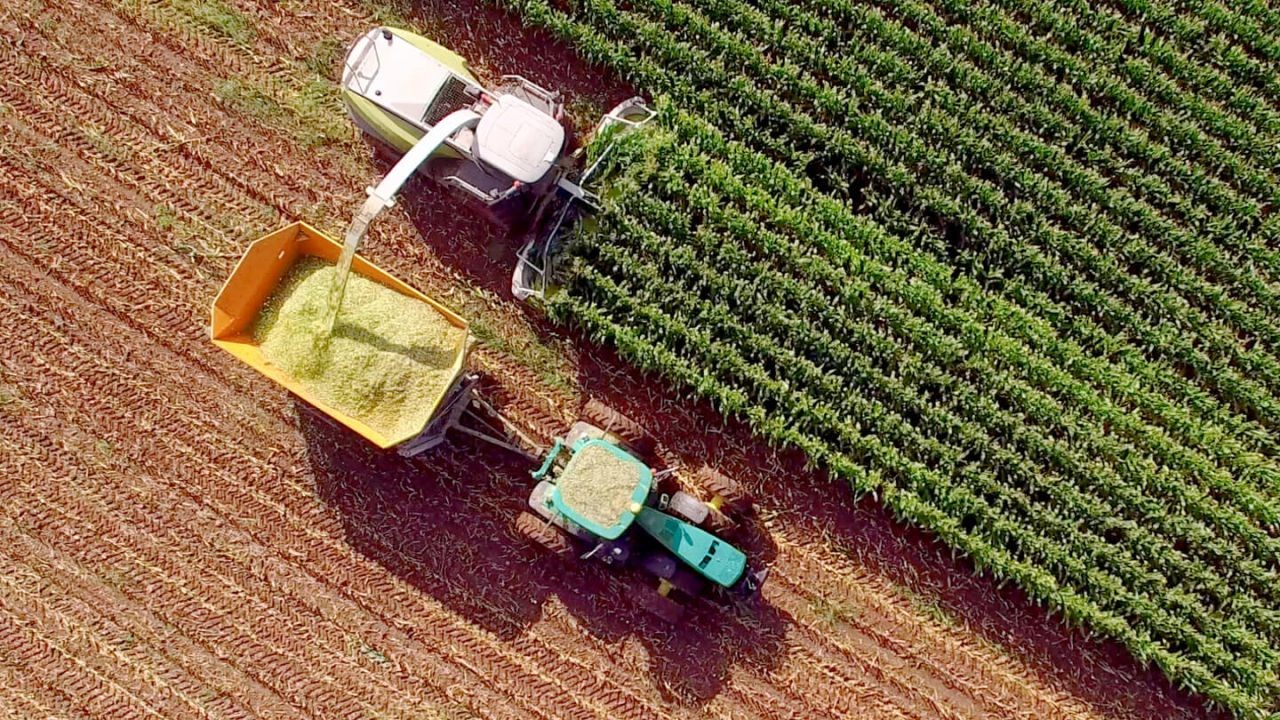 Agribusiness Mythmaking: How Strategic Storytelling Drives Premium Value in Australian Agriculture