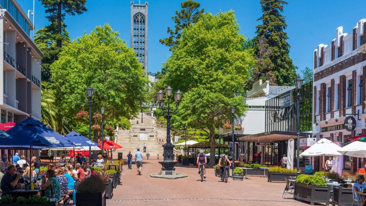 Education in Nelson: Schools, Colleges, and Family Guide – The Hidden Opportunity in New Zealand