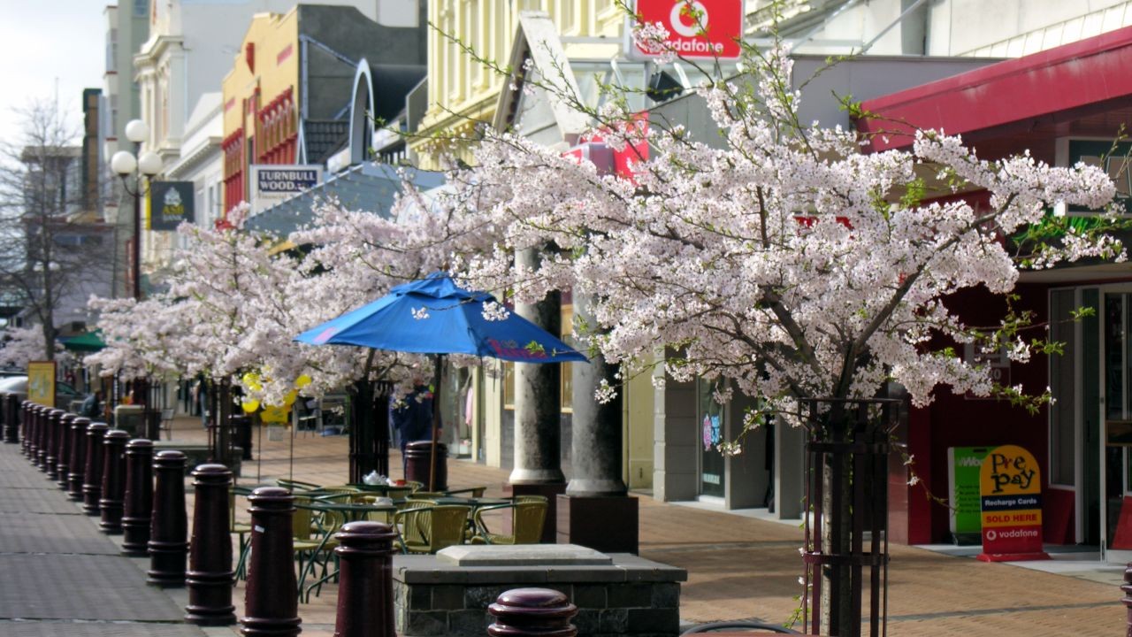 Is Invercargill a Good Place for Families and Professionals? – Is It Worth the Hype for Kiwis?