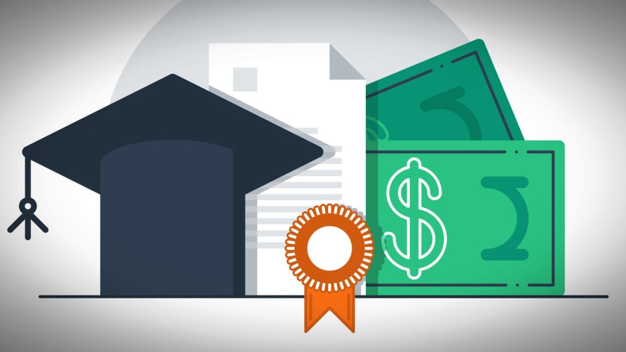 How Scholarships and Grants Work in New Zealand – A Simple Explainer for Curious Kiwis