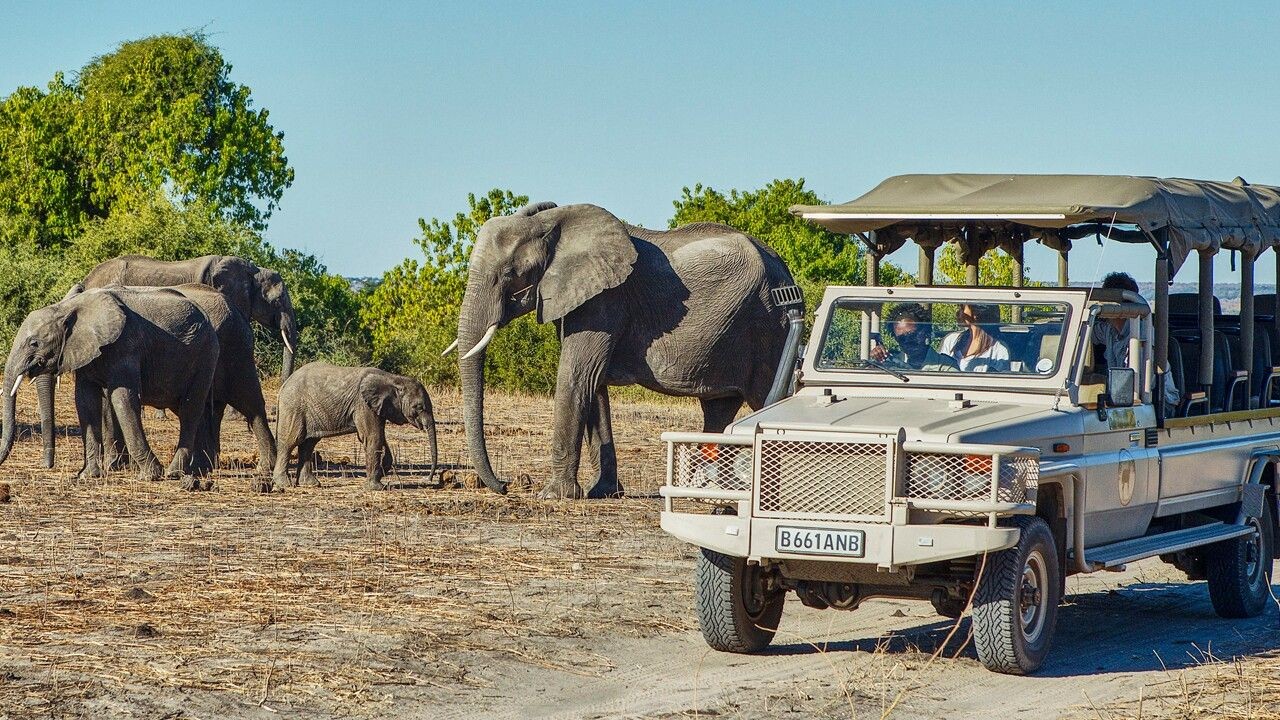 The Dark Reality Behind New Zealand’s Wildlife Tourism Industry – What It Means for Everyday Kiwis