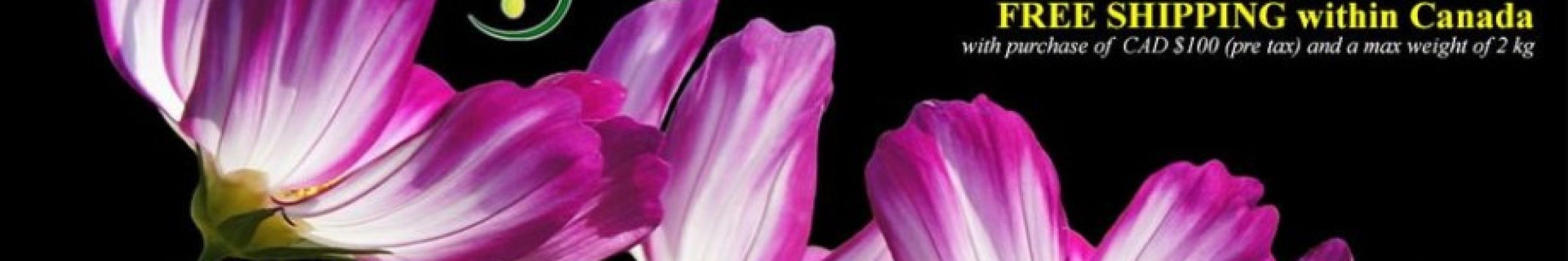 Aromatics Canada Inc