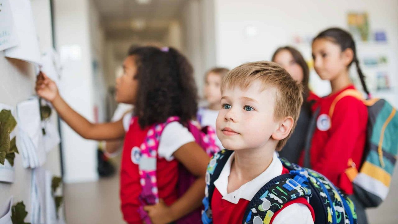 How Public Schools in New Zealand Stack Up Against Global Education Systems – Why It’s Making Headlines in NZ