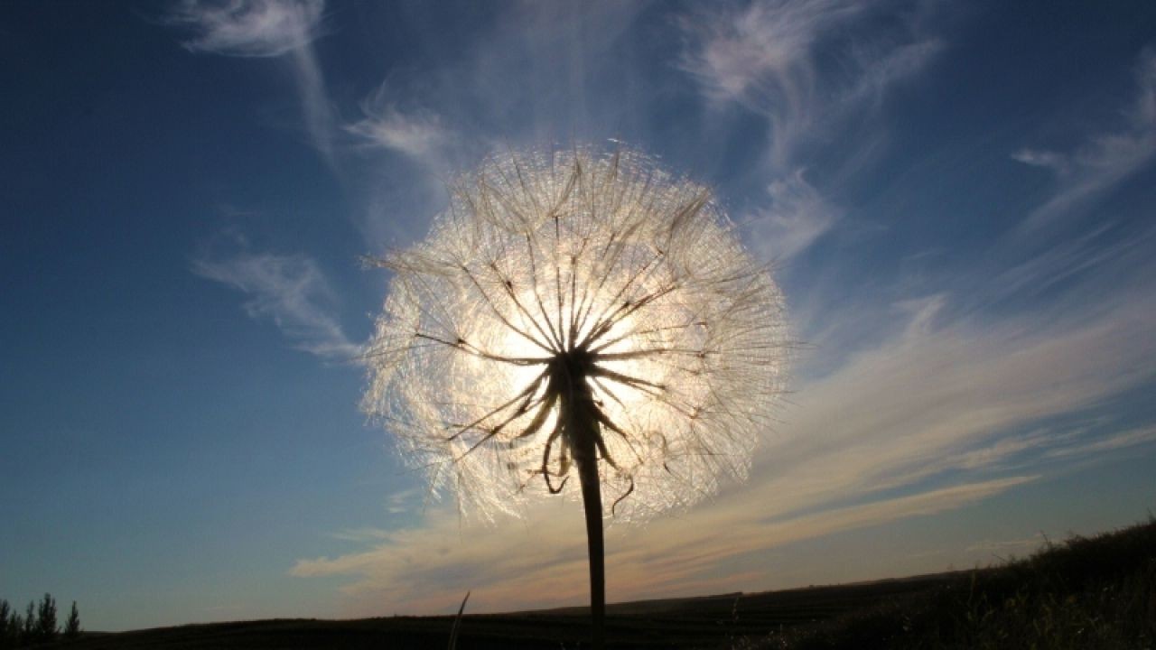 Why Kiwi Voters Are Losing Faith in Every Political Party – What No One Is Talking About in NZ