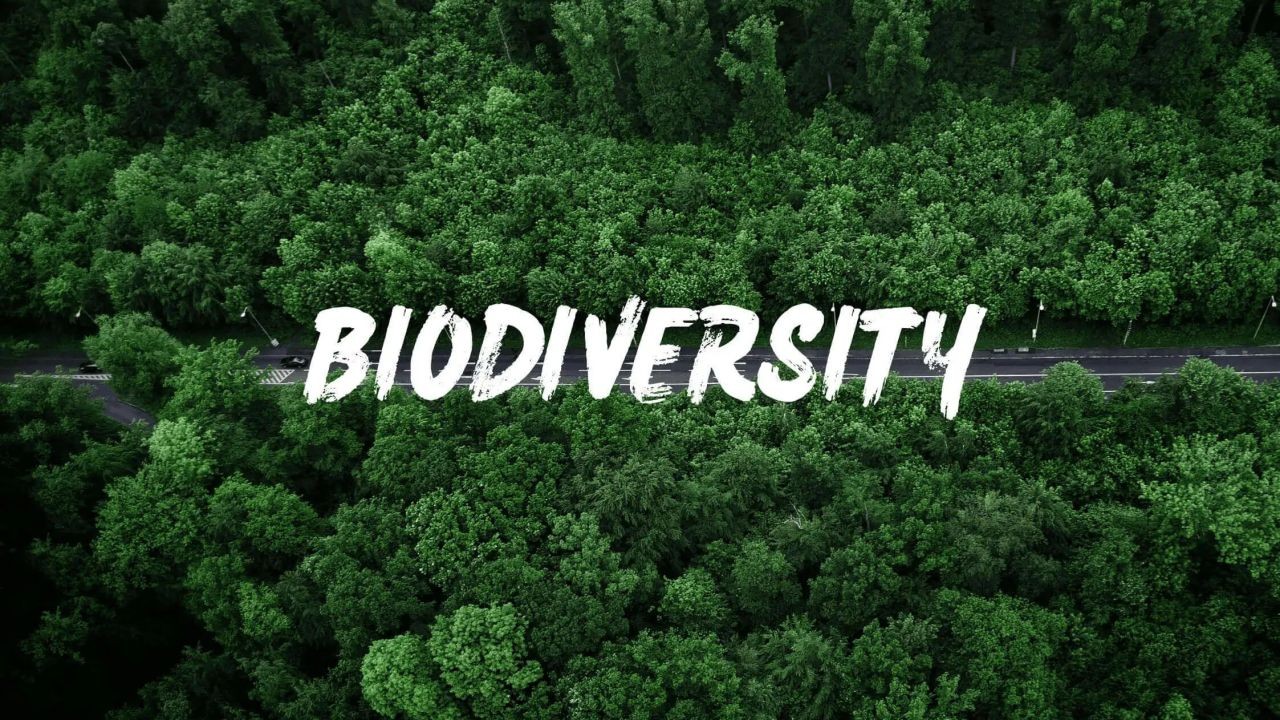 The impact of climate change on New Zealand's biodiversity. – The Future Outlook for New Zealand