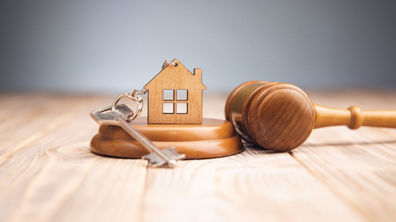 Navigating Auctions in New Zealand: Expert Tips for Success