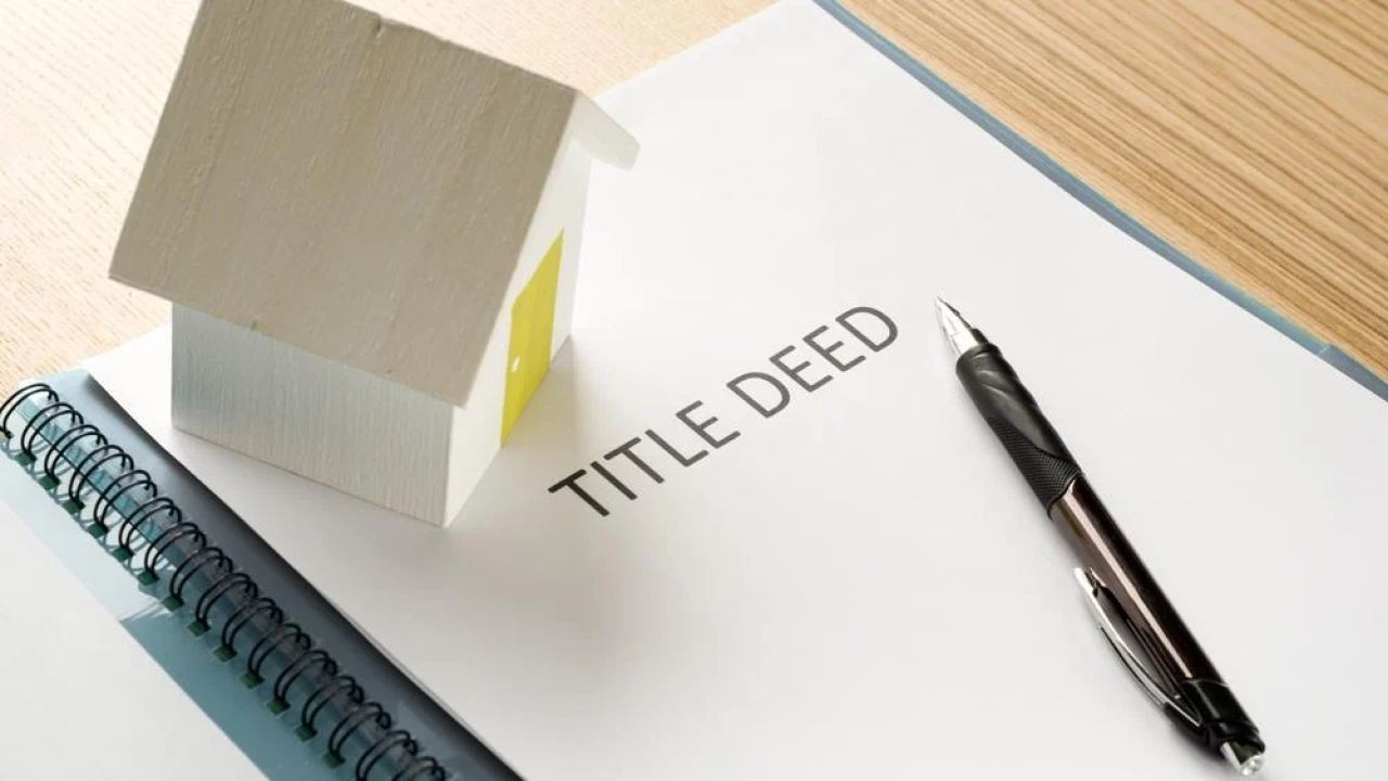 LIM Reports, Property Titles, and Legal Essentials for NZ Buyers