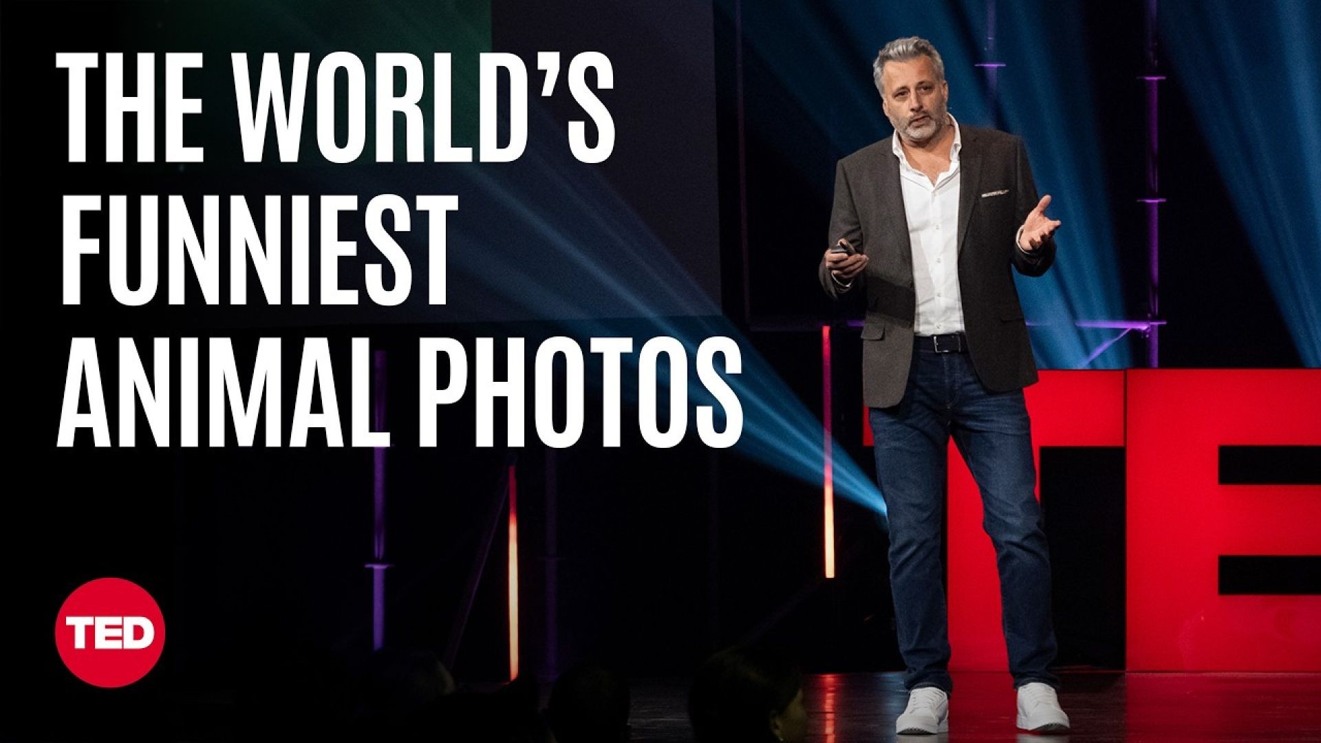 Best Comedy Wildlife Photos – Tom Sullam Talk