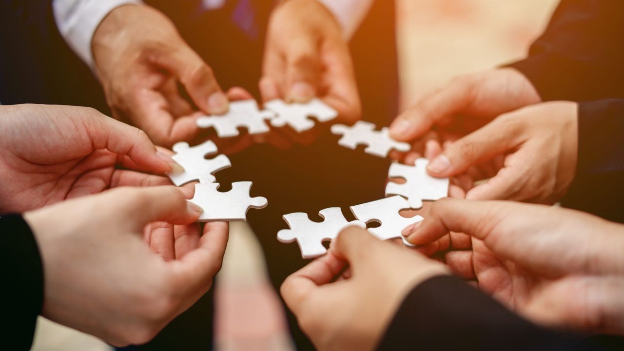 Case Study: The Role of New Zealand’s Government in Sustainability Efforts – Why It Matters for New Zealanders