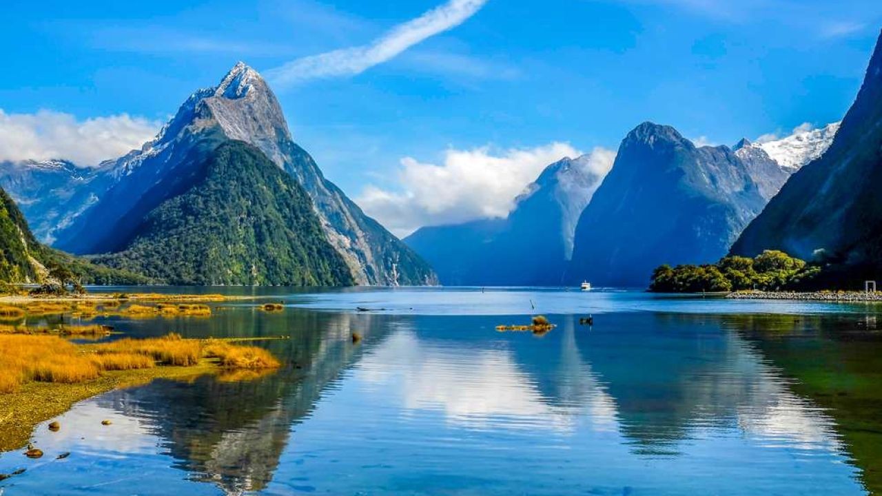 Conservation efforts in New Zealand's national parks – What Every Kiwi Should Know