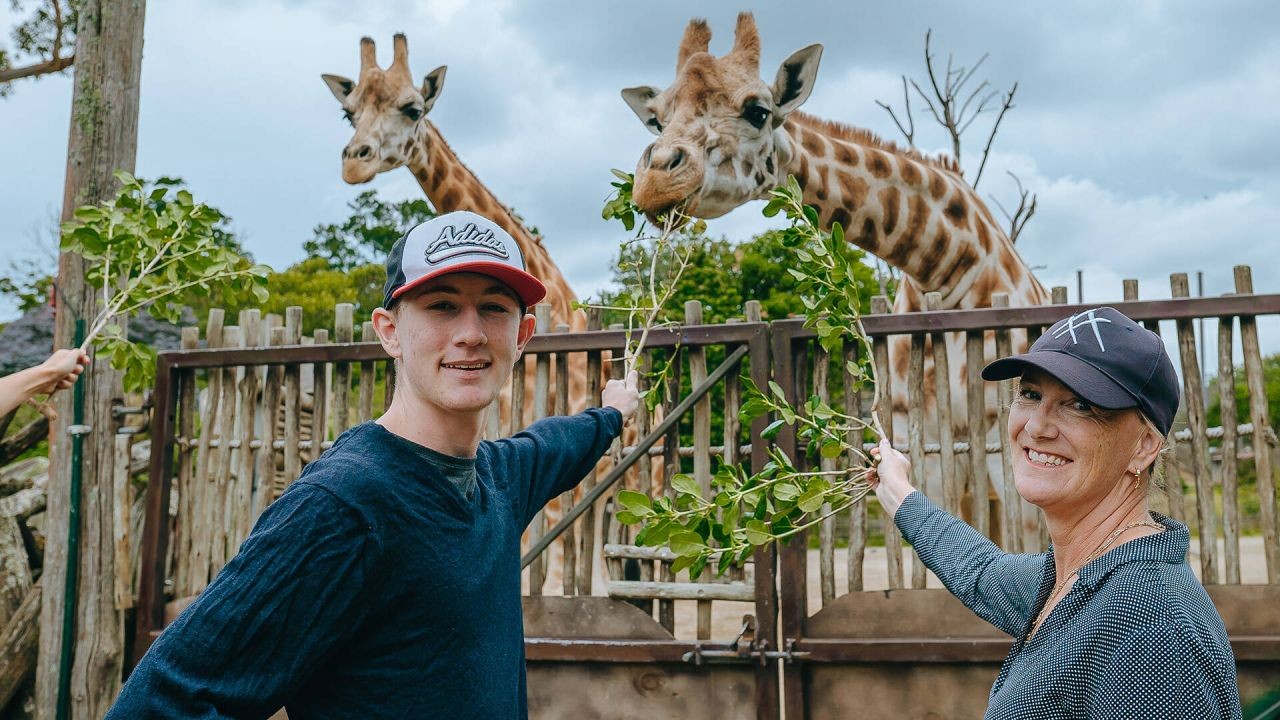 New Zealand’s National Parks vs South Africa’s: A Comparison of Wildlife Experiences – (And What It Means for Kiwi Businesses)